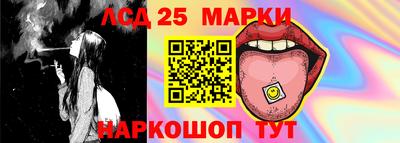 мет Кингисепп