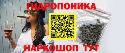 спиды Кинель