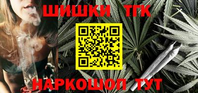 мет Кингисепп