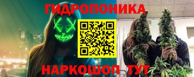 мет Кингисепп