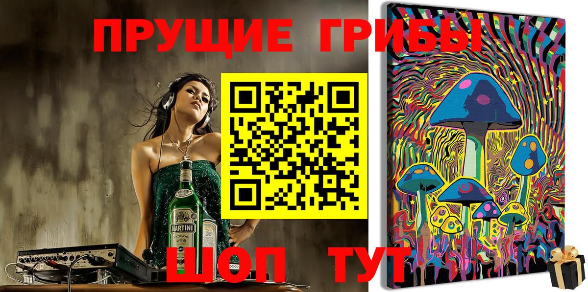 Псилоцибиновые грибы прущие грибы Томск